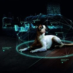 Cecotec, Robot Aspirateur, Conga 7090, Lave Le Sol, Intelligence Artif... 9 Cecotec, Robot Aspirateur, Conga 7090, Lave Le Sol, Intelligence Artif... -BISSELL magasin cecotec robot aspirateur conga 7090 lave le sol intelligence artificielle technologie laser 1000 pa room assist brosse j 9029915 23531603 1140x1140